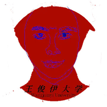 王俊伊大学